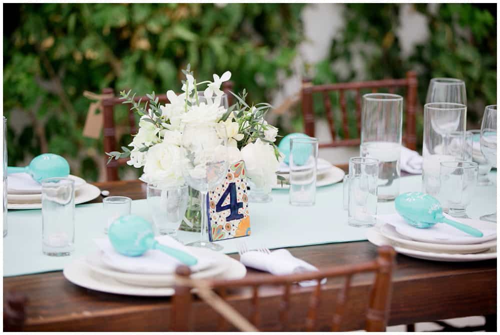 Cabo-Wedding-Photographer---Sara-Richardson_1255